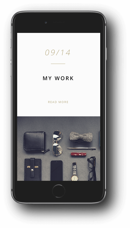 Image module